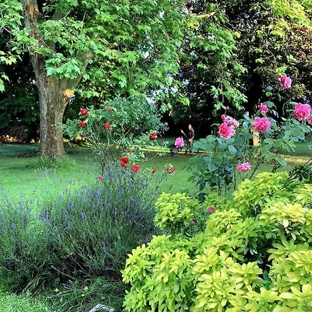 Les Roseaux, 1h De Paris, Grand Jardin, Piscine Venables